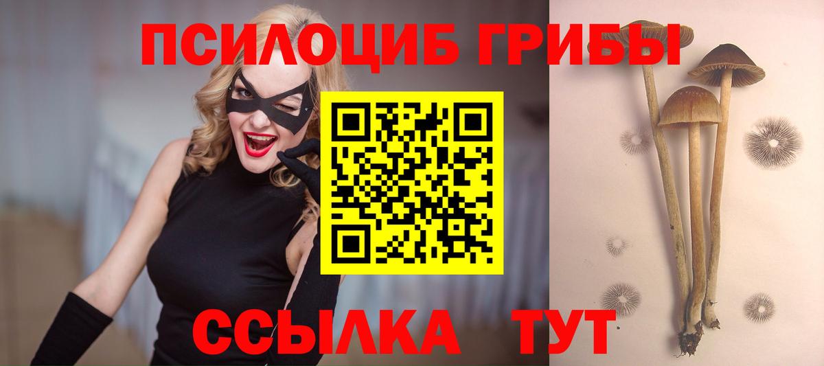 Галлюциногенные грибы MAGIC MUSHROOMS  Вход с VPN  Канаш 